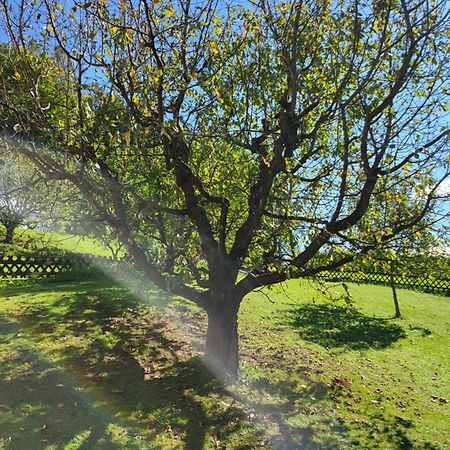 Ferienhaus Zangl Am Seggauberg - Suedsteiermark Leibnitz Bagian luar foto
