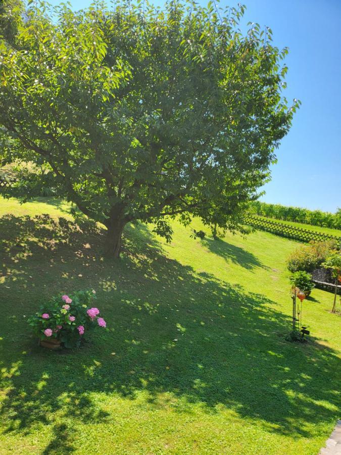 Ferienhaus Zangl Am Seggauberg - Suedsteiermark Leibnitz Bagian luar foto