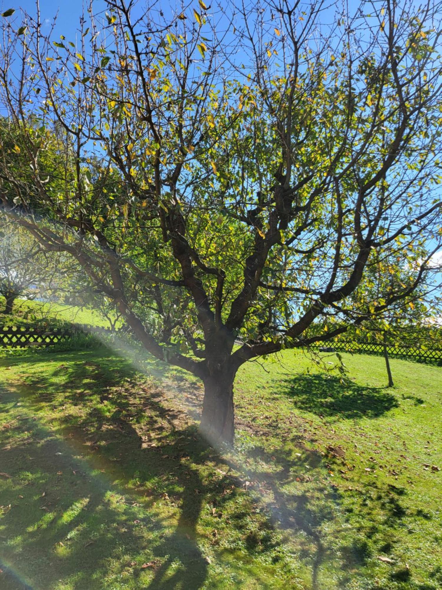 Ferienhaus Zangl Am Seggauberg - Suedsteiermark Leibnitz Bagian luar foto