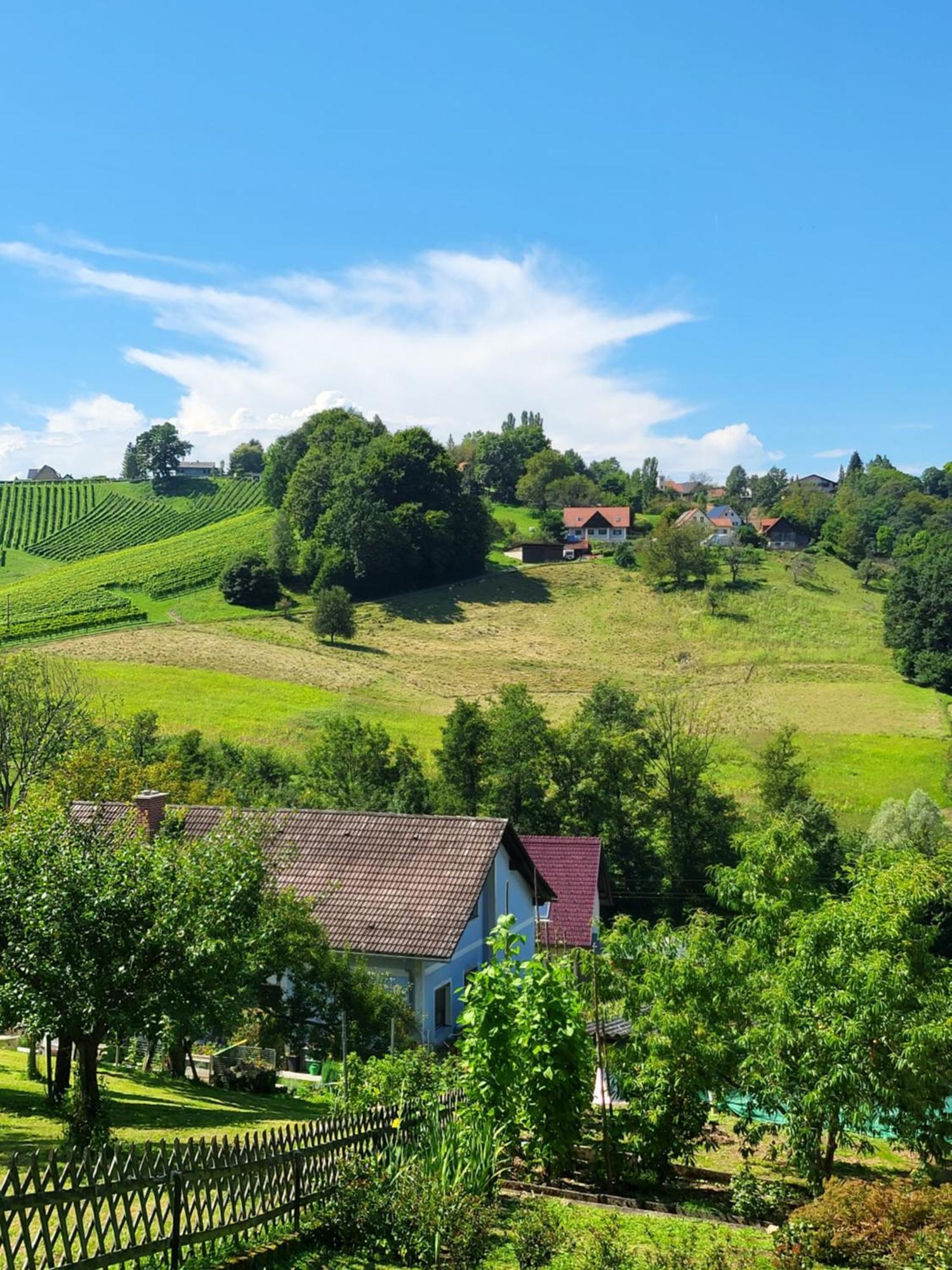 Ferienhaus Zangl Am Seggauberg - Suedsteiermark Leibnitz Bagian luar foto