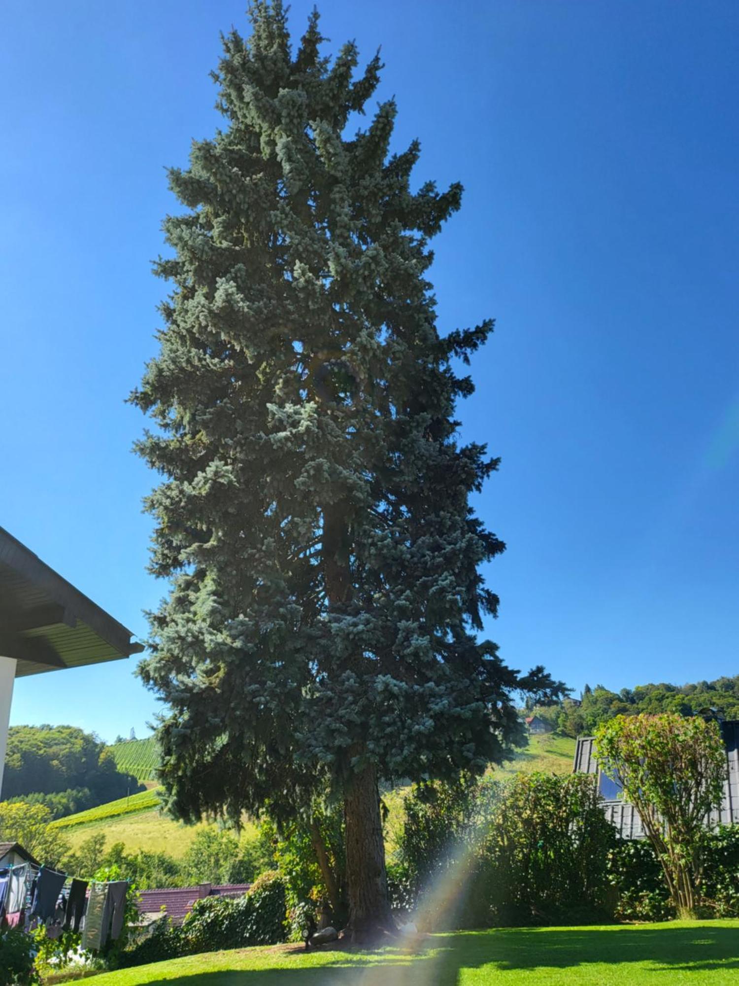 Ferienhaus Zangl Am Seggauberg - Suedsteiermark Leibnitz Bagian luar foto