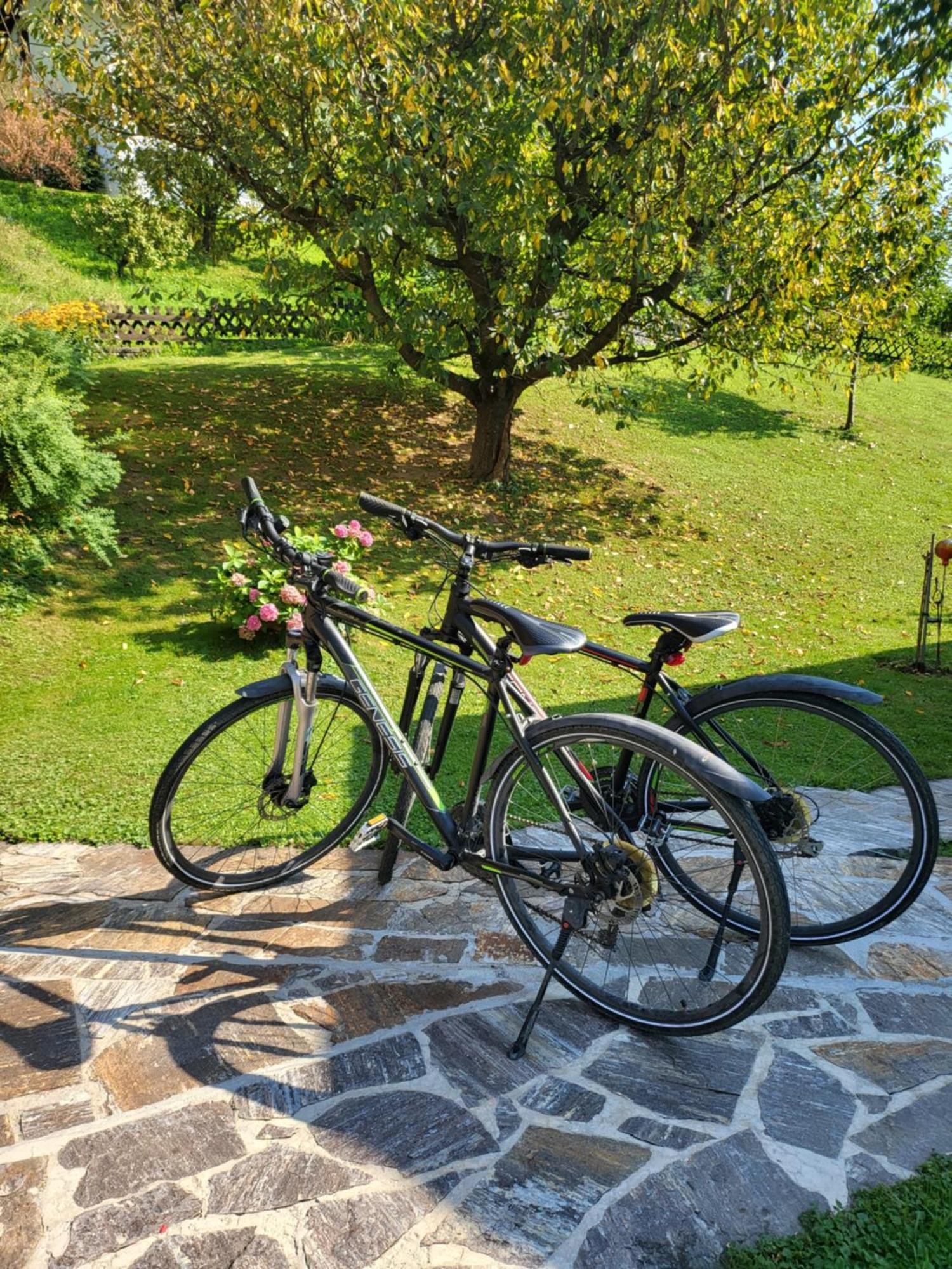 Ferienhaus Zangl Am Seggauberg - Suedsteiermark Leibnitz Bagian luar foto