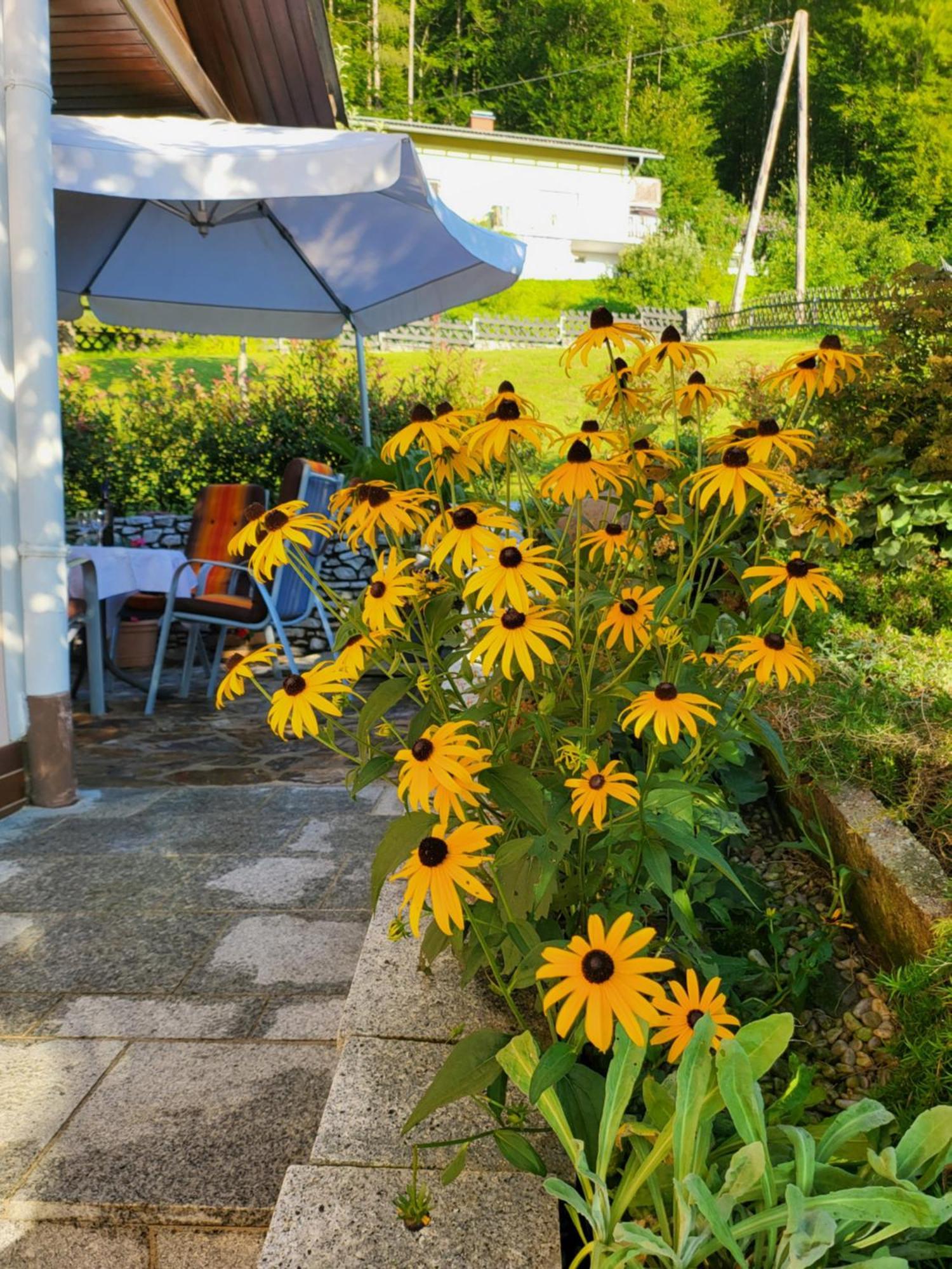 Ferienhaus Zangl Am Seggauberg - Suedsteiermark Leibnitz Bagian luar foto